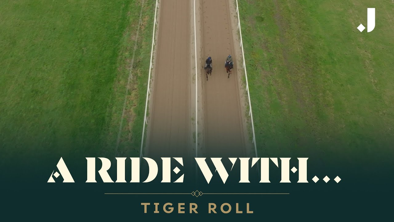 tiger roll next race 0040