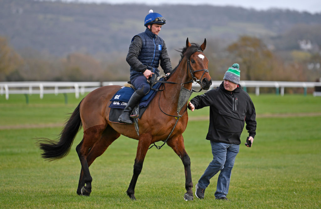 tiger roll next race 0041