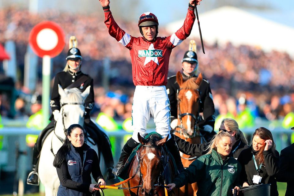 tiger roll next race 0043