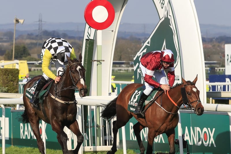tiger roll next race 0045