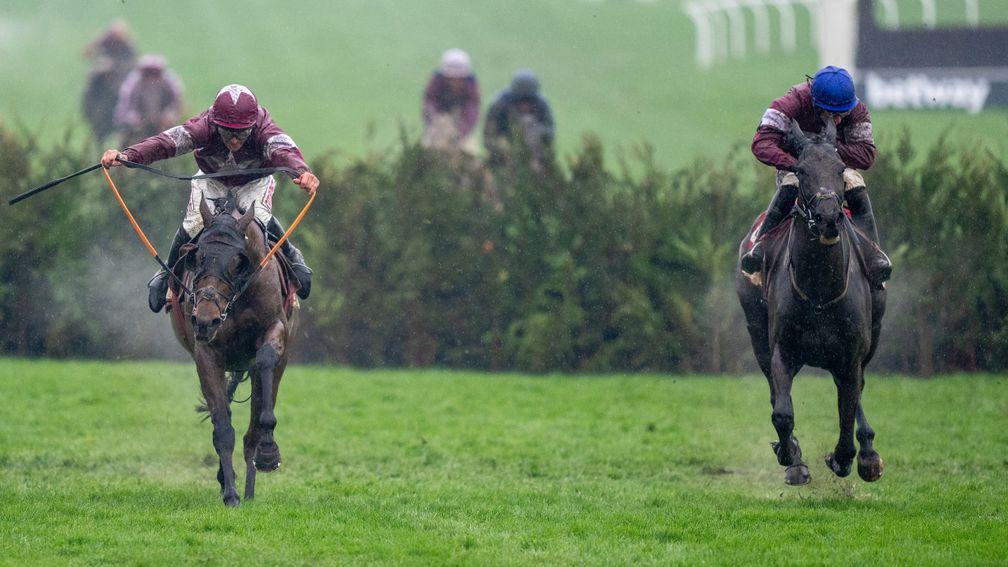 tiger roll next race 0048