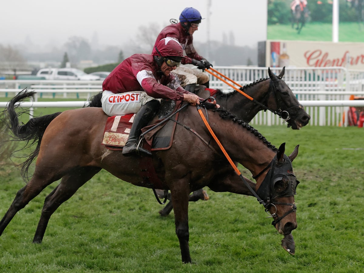tiger roll race odds