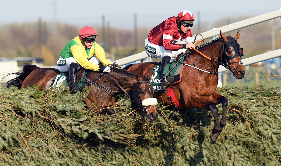tiger roll race predictions.