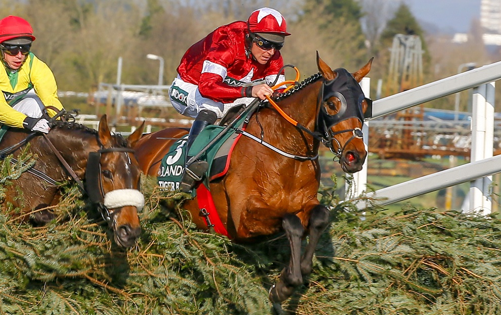 Tiger Roll racing career