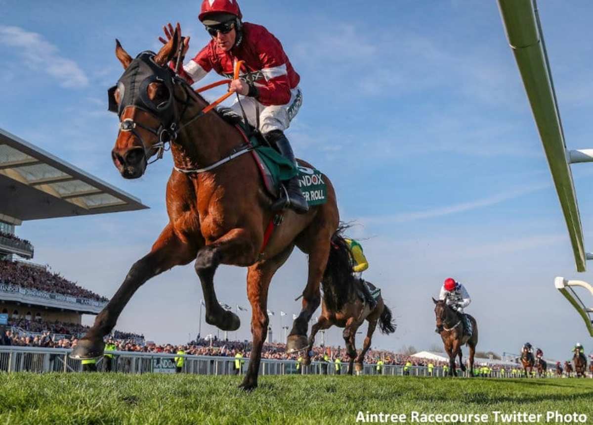 Tiger Roll retirement announcement