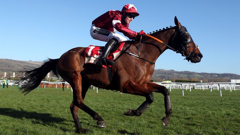 tiger roll upcoming events