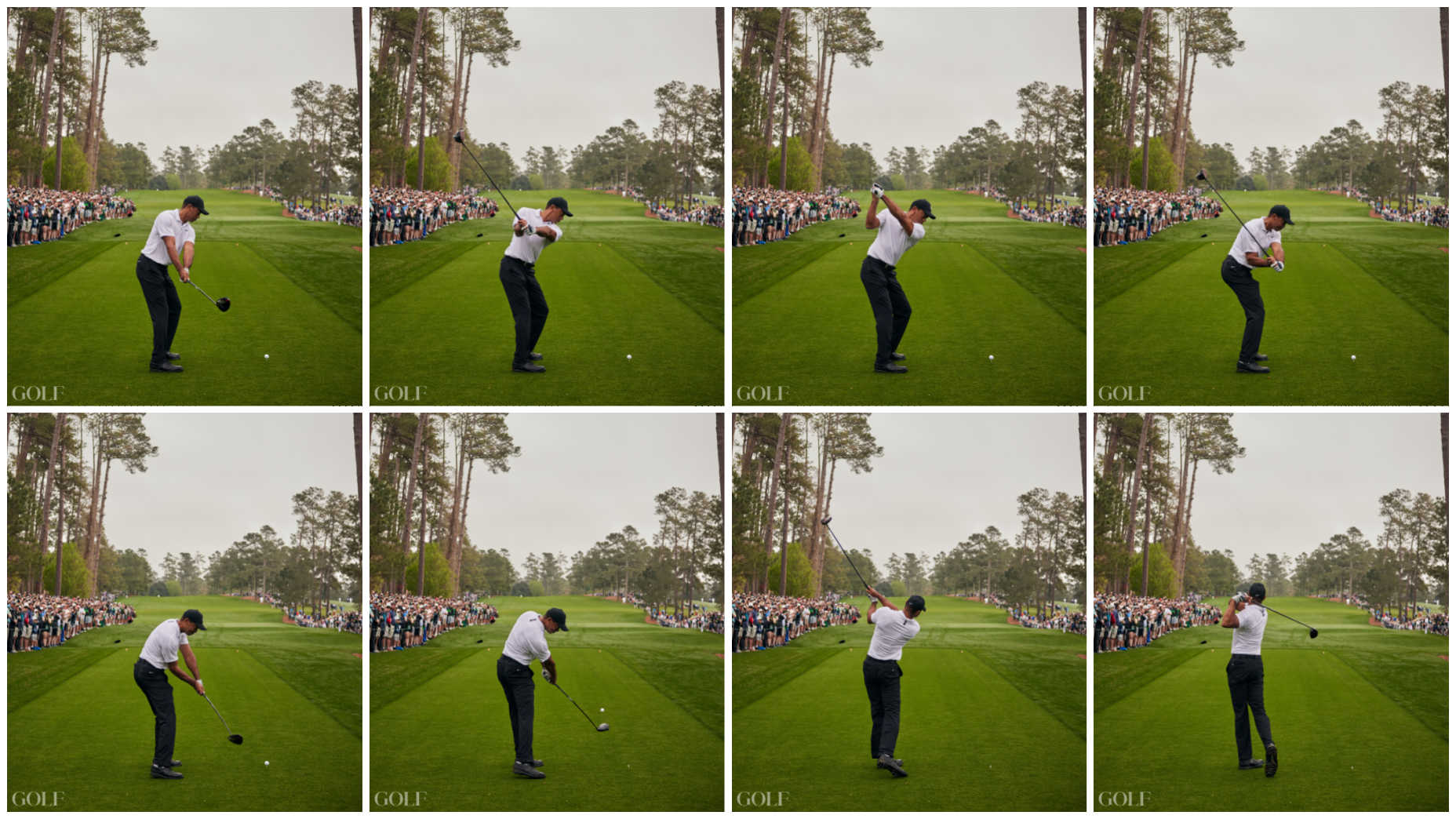 tiger swing sequence 0010