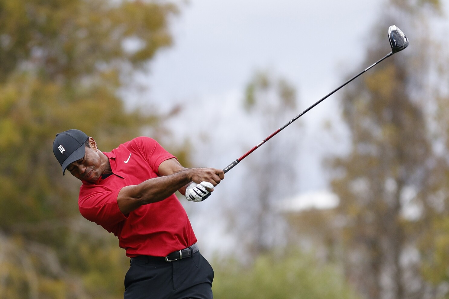 tiger swing sequence 0030