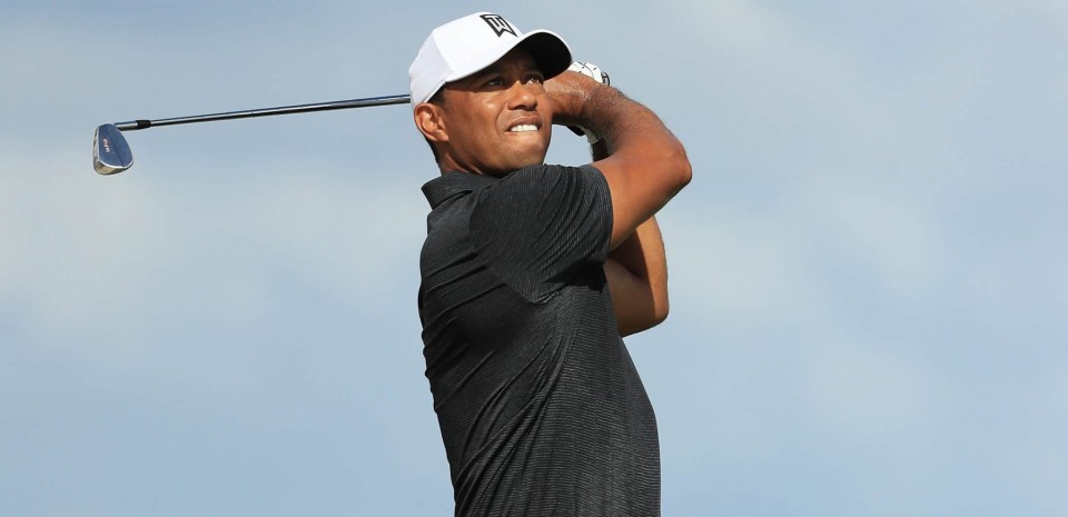 tiger swing sequence 0033