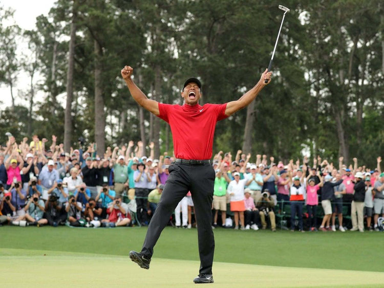 tiger swing sequence 0036