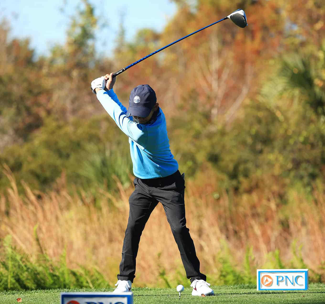tiger swing sequence 0042