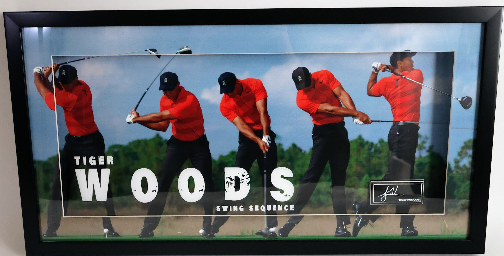 tiger swing sequence 0046