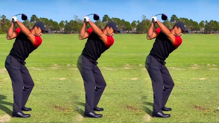 tiger top of swing 0011