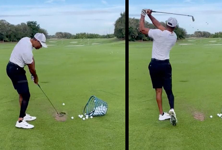 tiger top of swing 0012