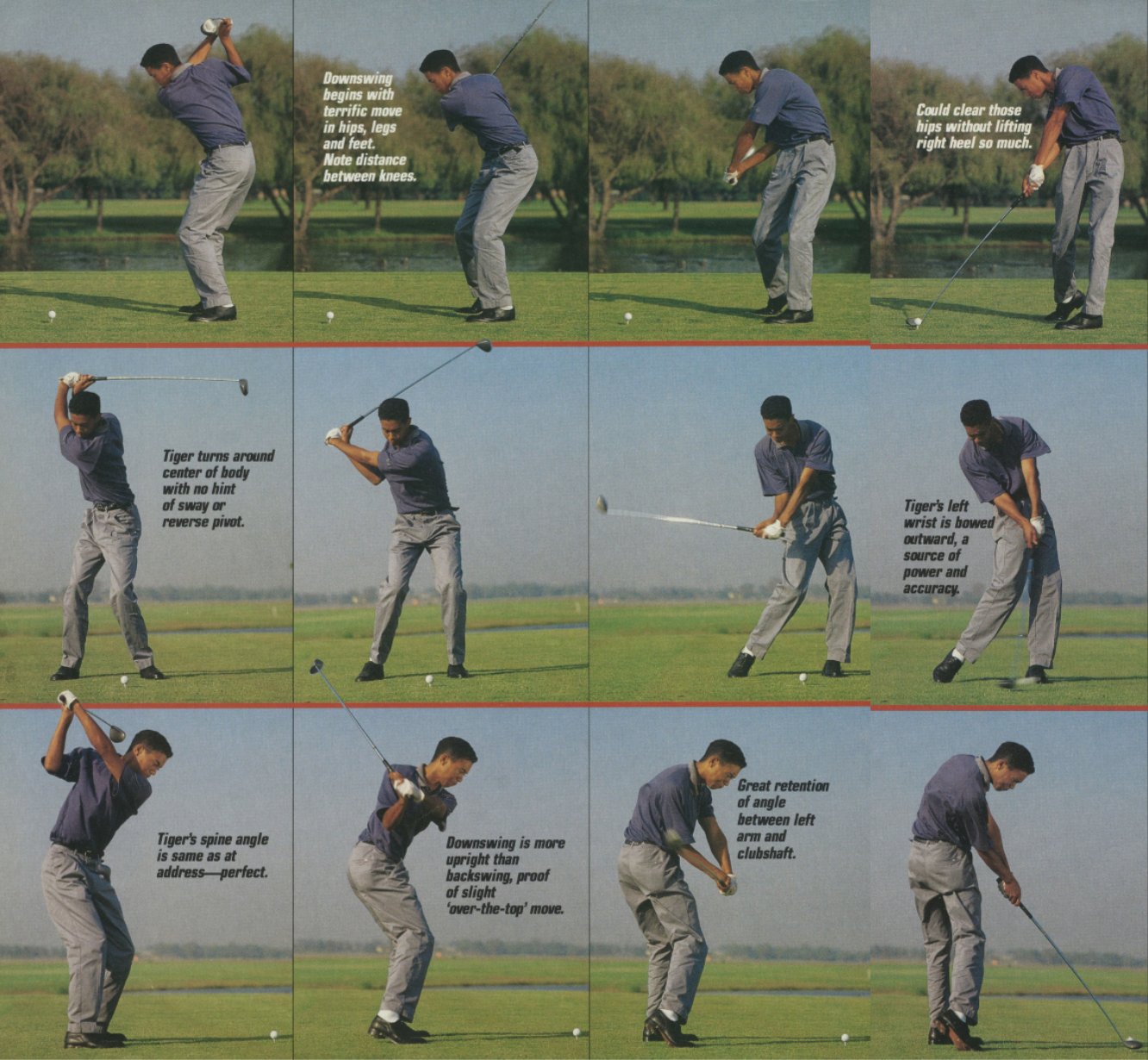 tiger top of swing 0013