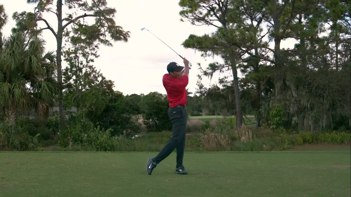 tiger top of swing 0014