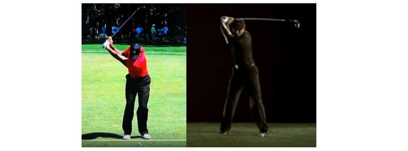 tiger top of swing 0019