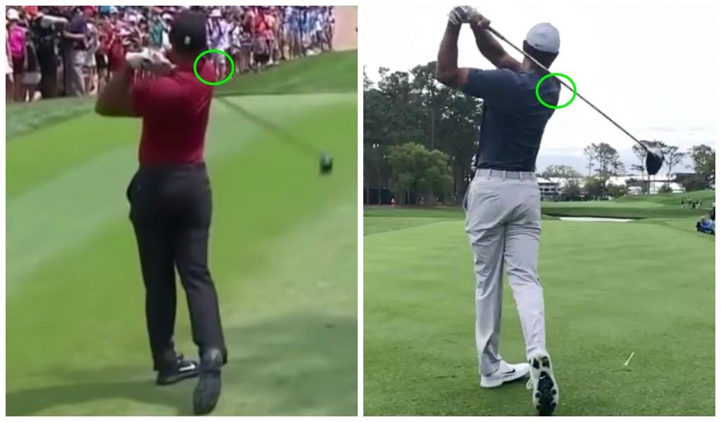 tiger top of swing 0021