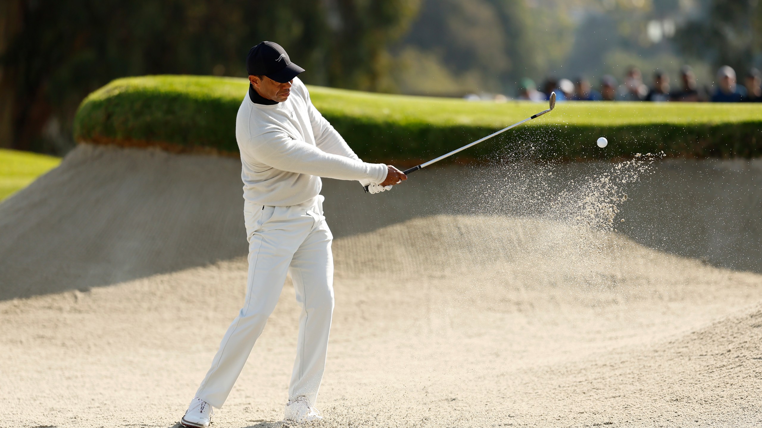 tiger top of swing 0022