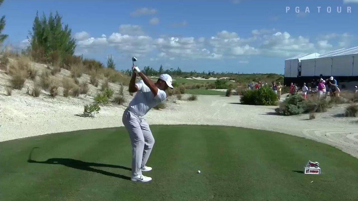 tiger top of swing 0023