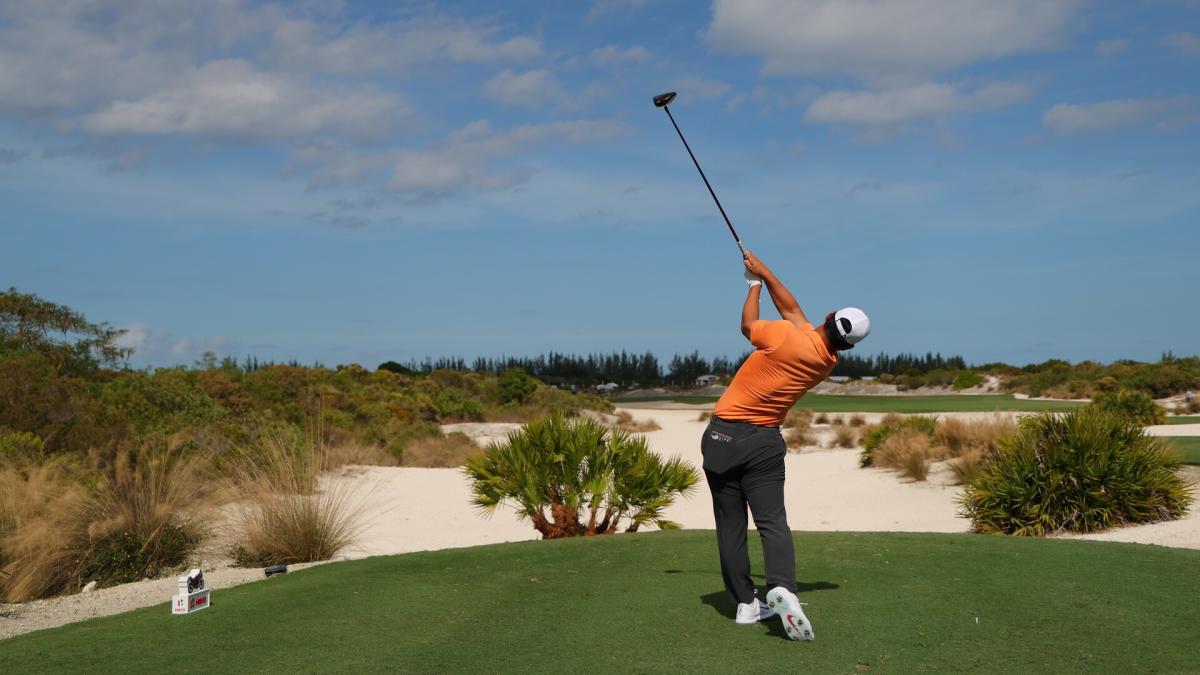 tiger top of swing 0025