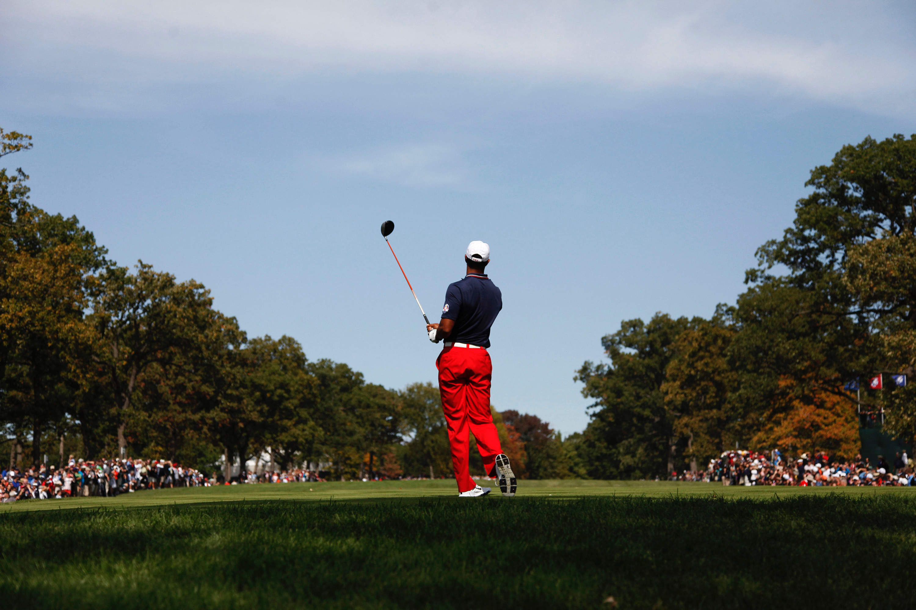 tiger top of swing 0026