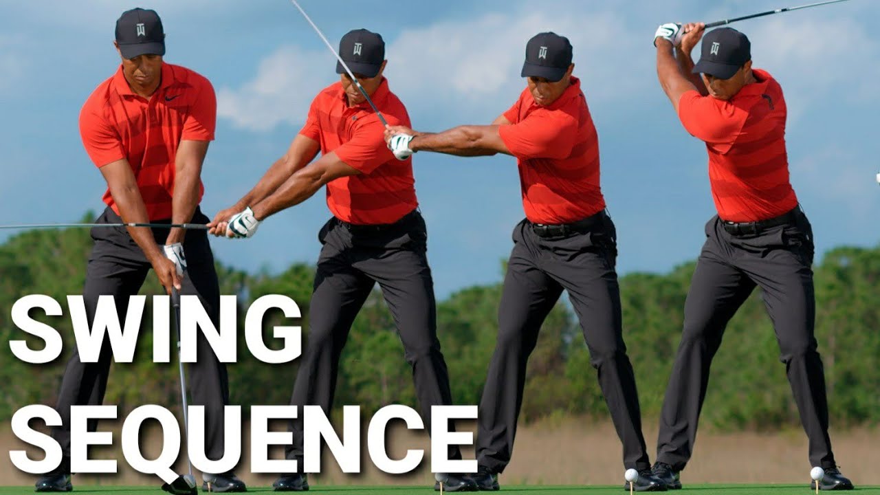 tiger top of swing 0030