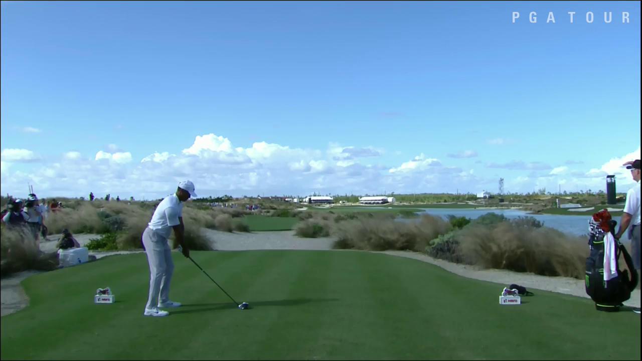 tiger top of swing 0035