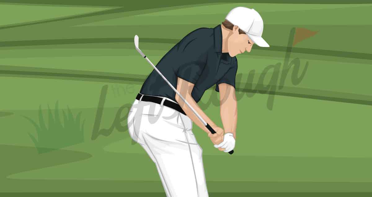 tiger top of swing 0036