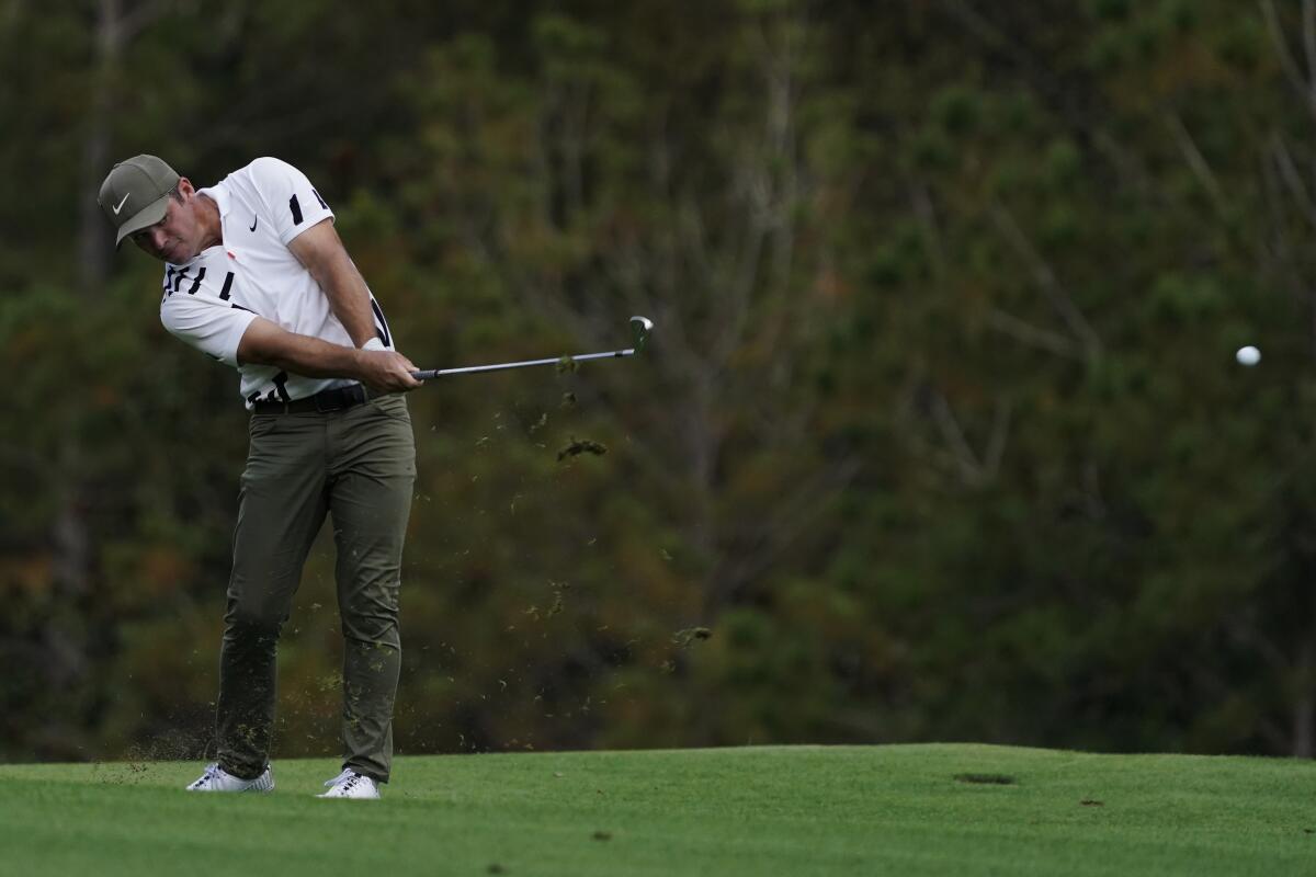 tiger top of swing 0038