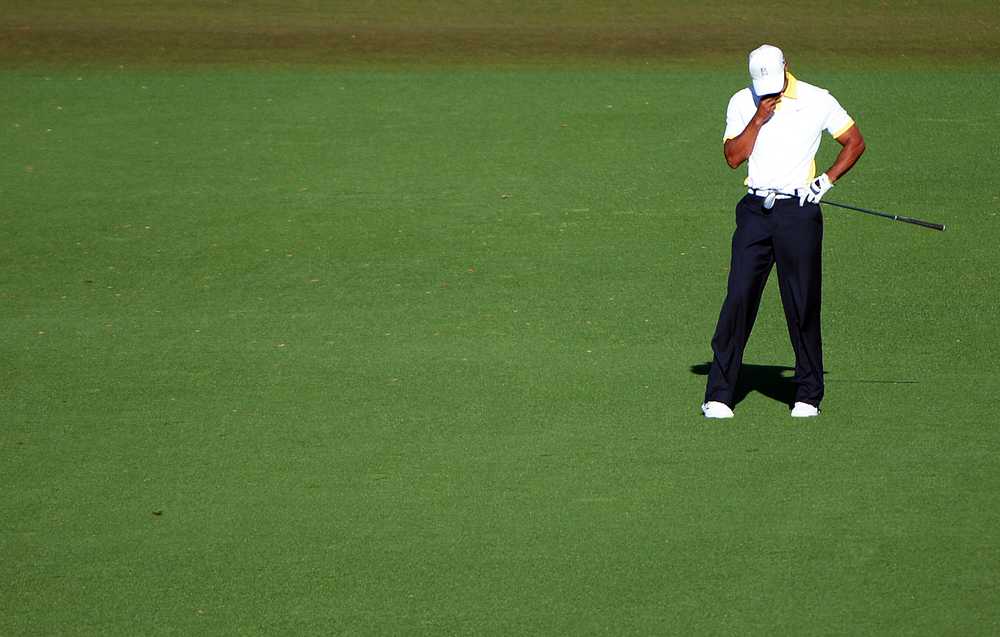 tiger top of swing 0041