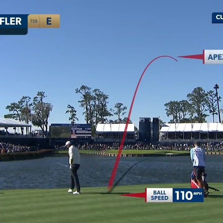 tiger top of swing 0044