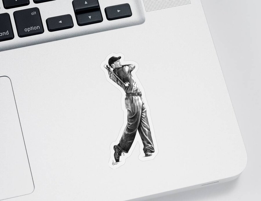 tiger top of swing 0046