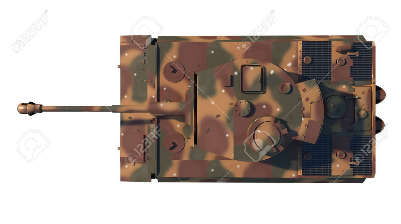 tiger top view 0047