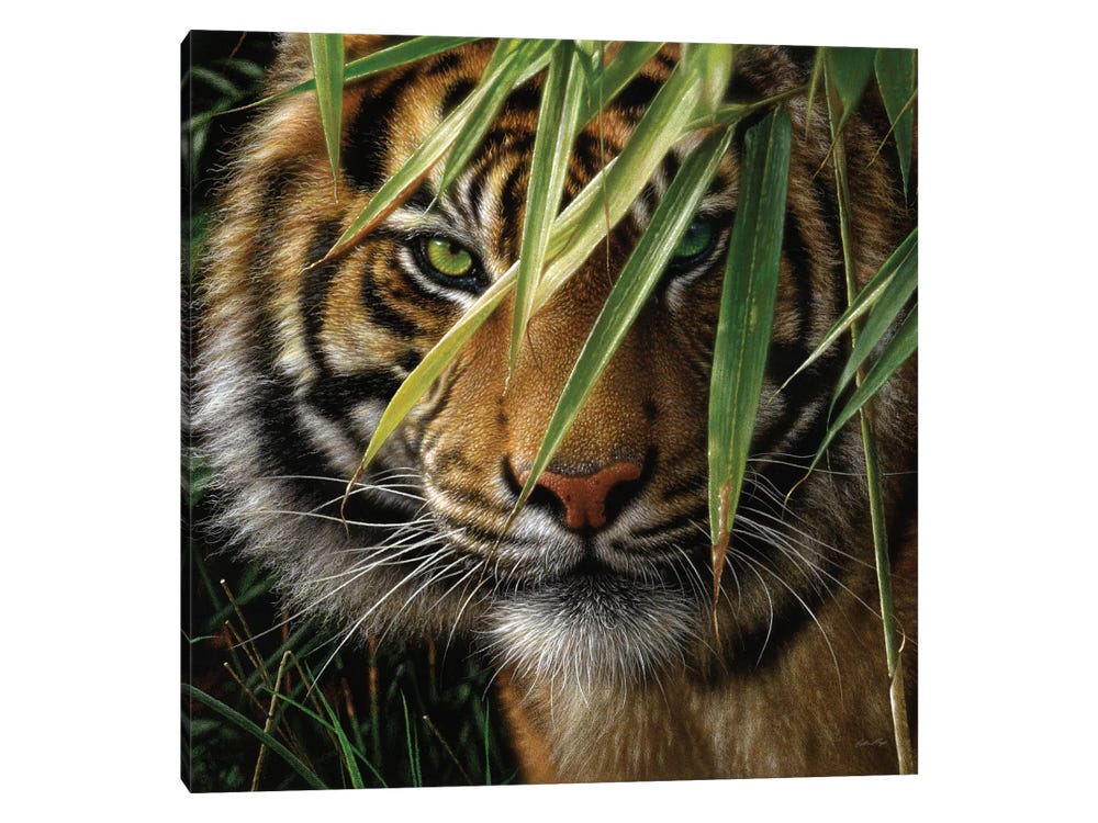 tiger woods 2018 pga championship 0048