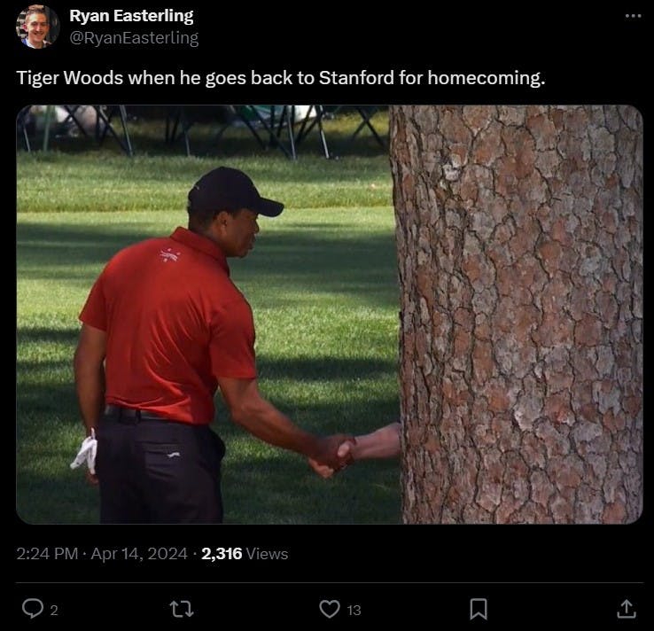 tiger woods funny picture 0040
