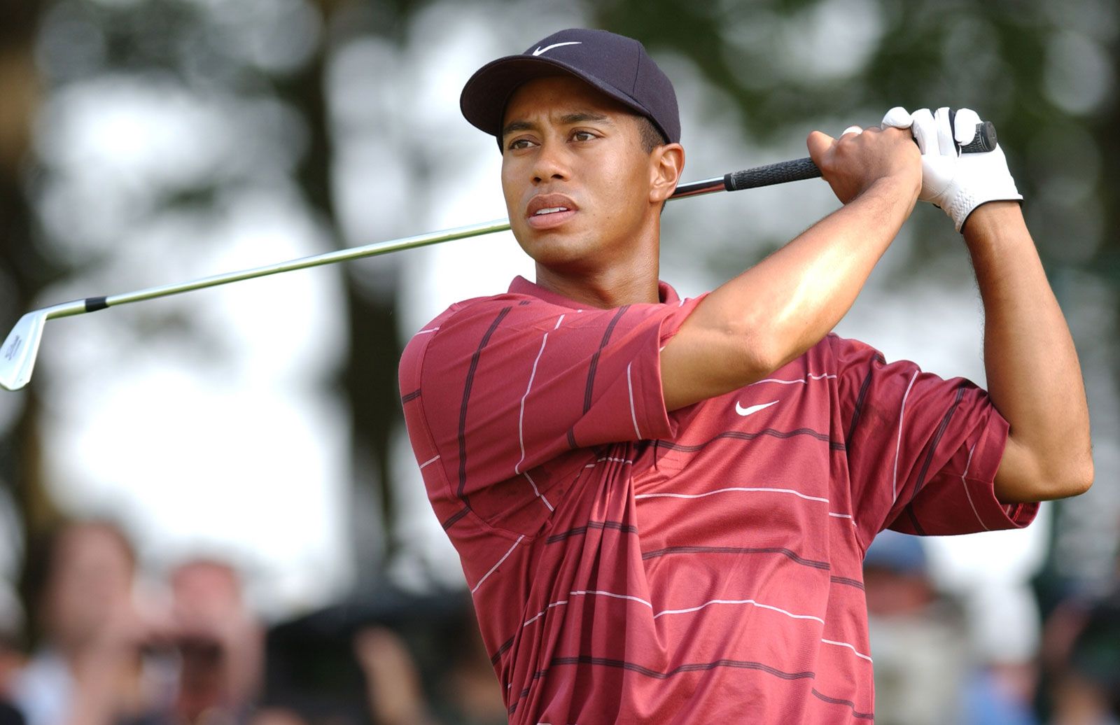 tiger woods high 0009