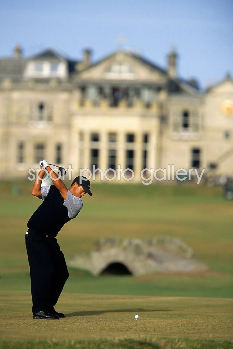 tiger woods history