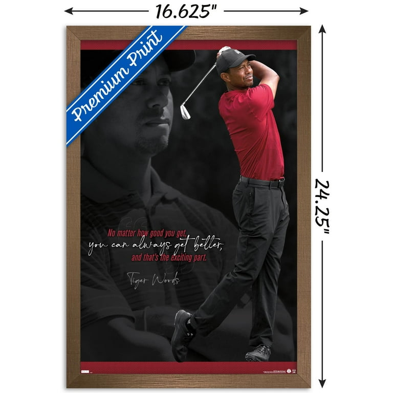 tiger woods eyes 0010