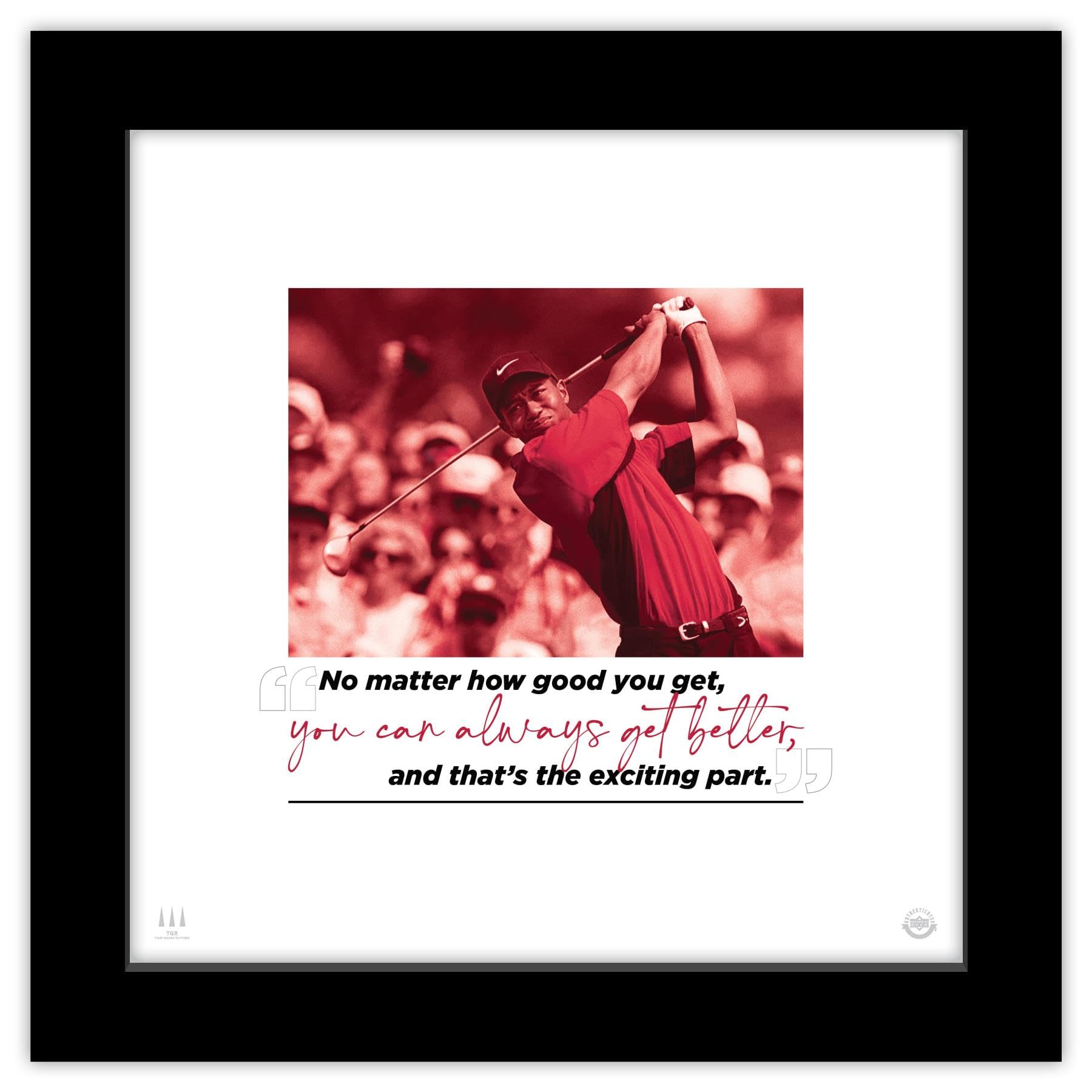 tiger woods eyes 0019