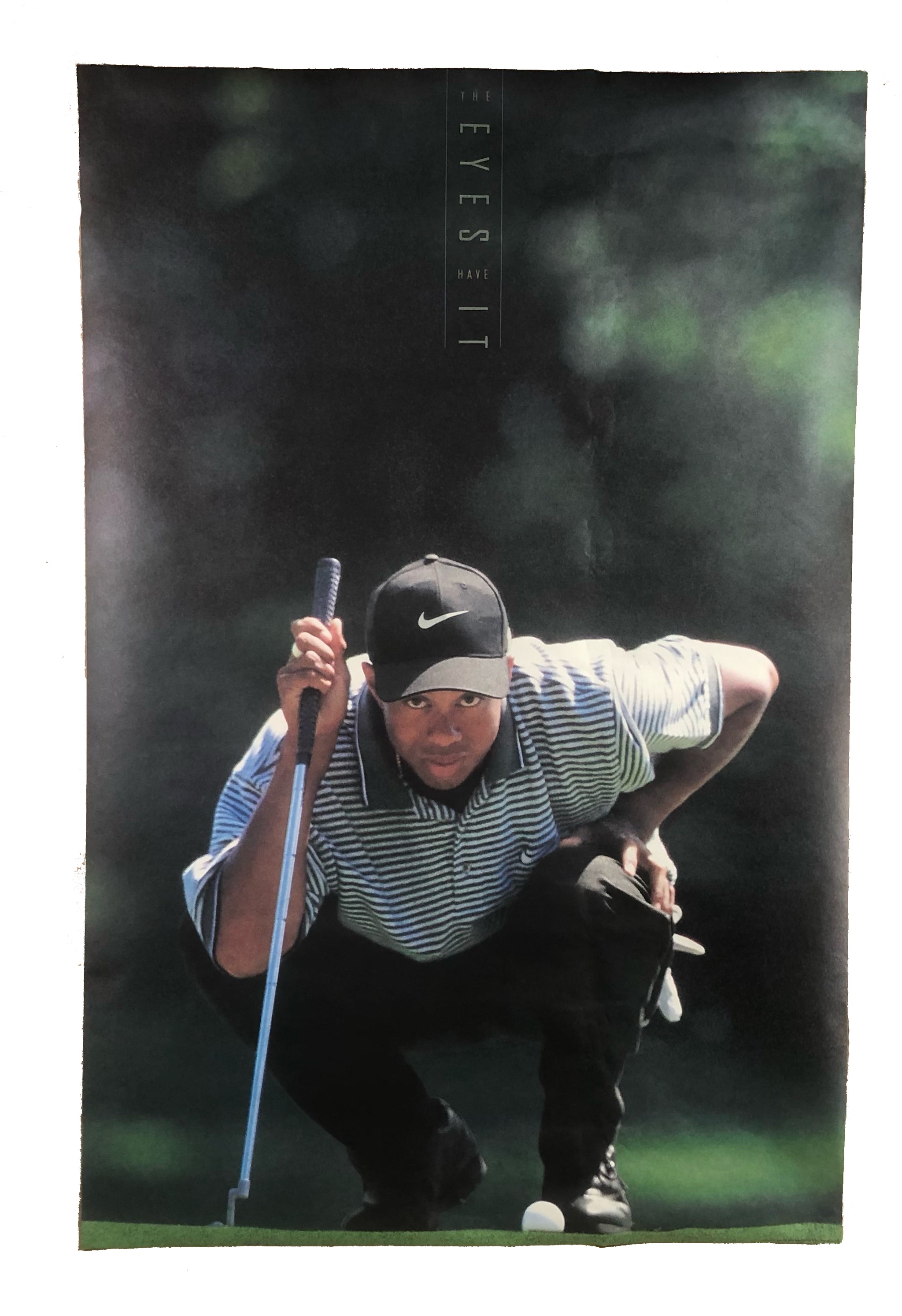 tiger woods eyes 0020