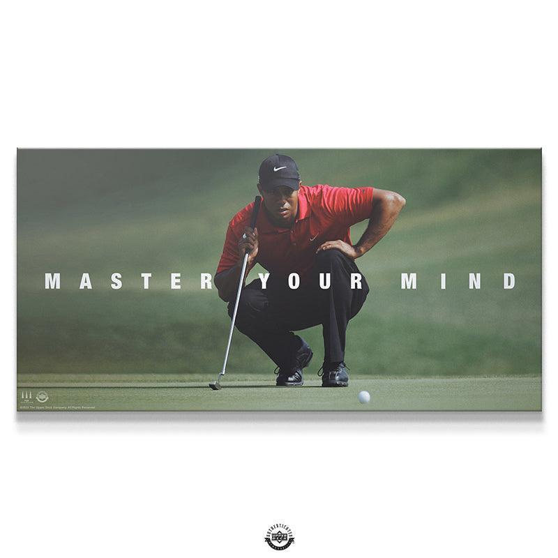 tiger woods eyes 0031