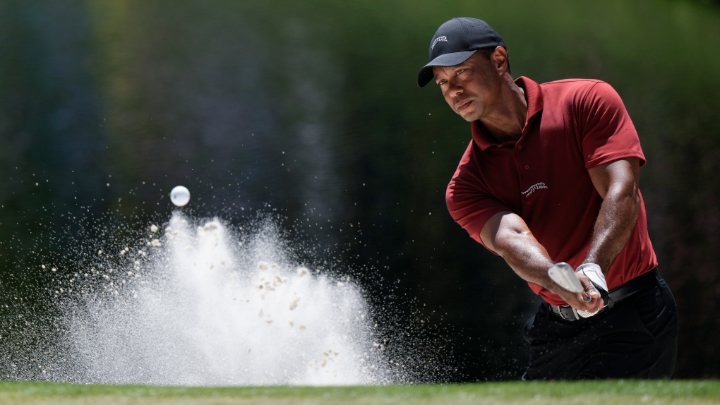 tiger woods mural 0040