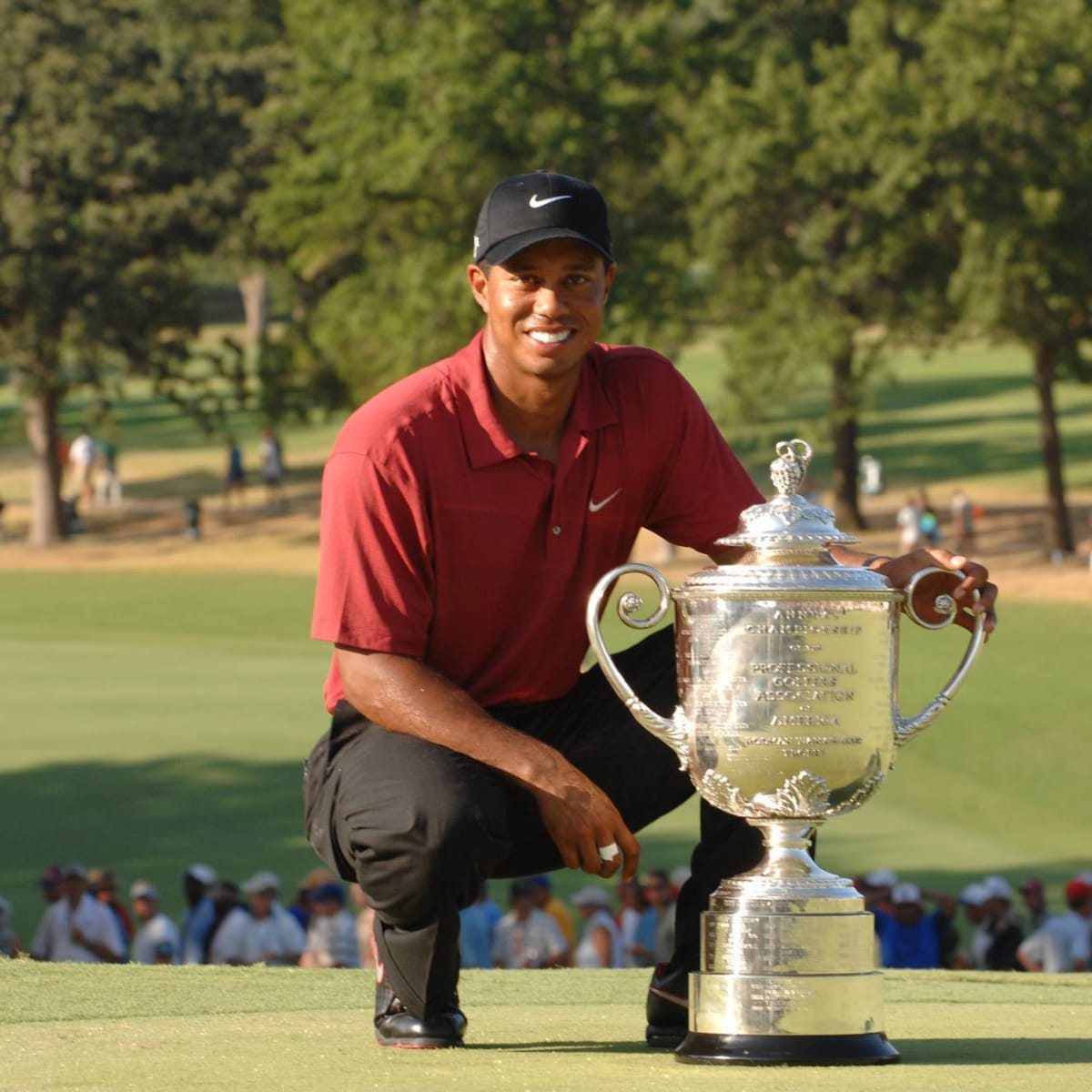 Tiger Woods PGA Tour titles
