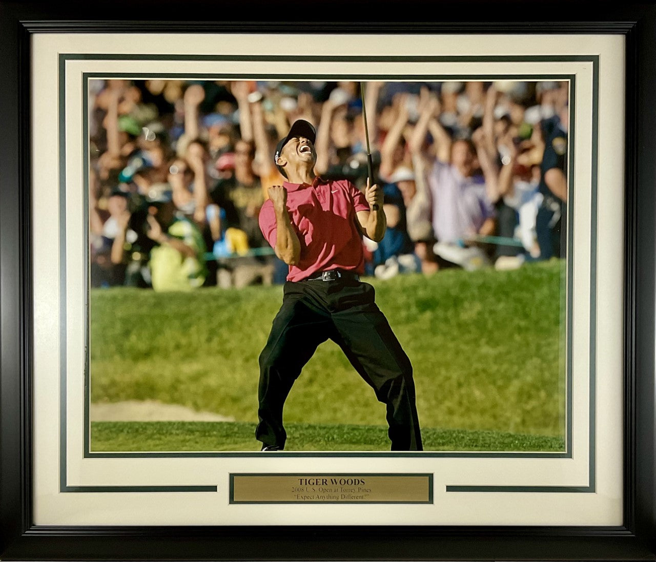 best tiger woods photos 0011