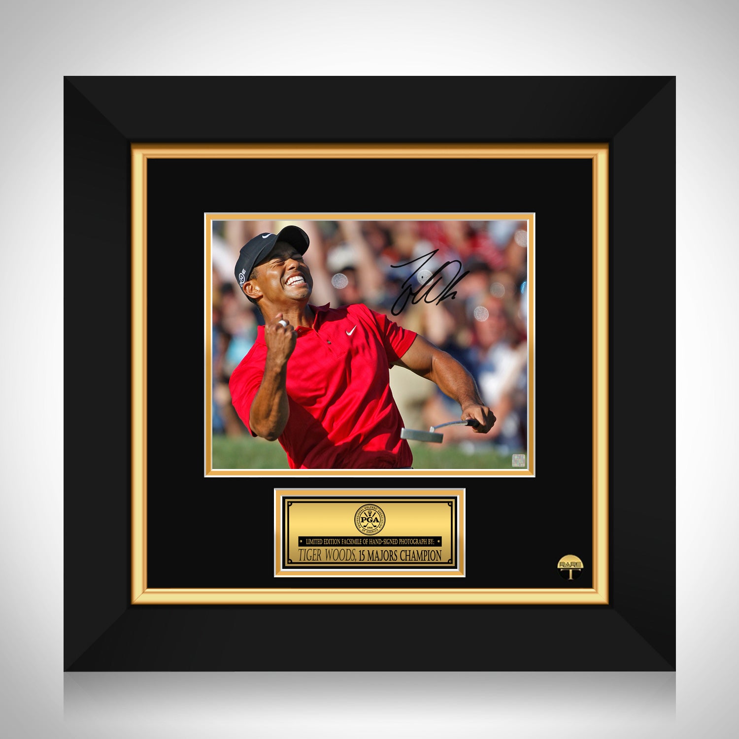 best tiger woods photos 0014