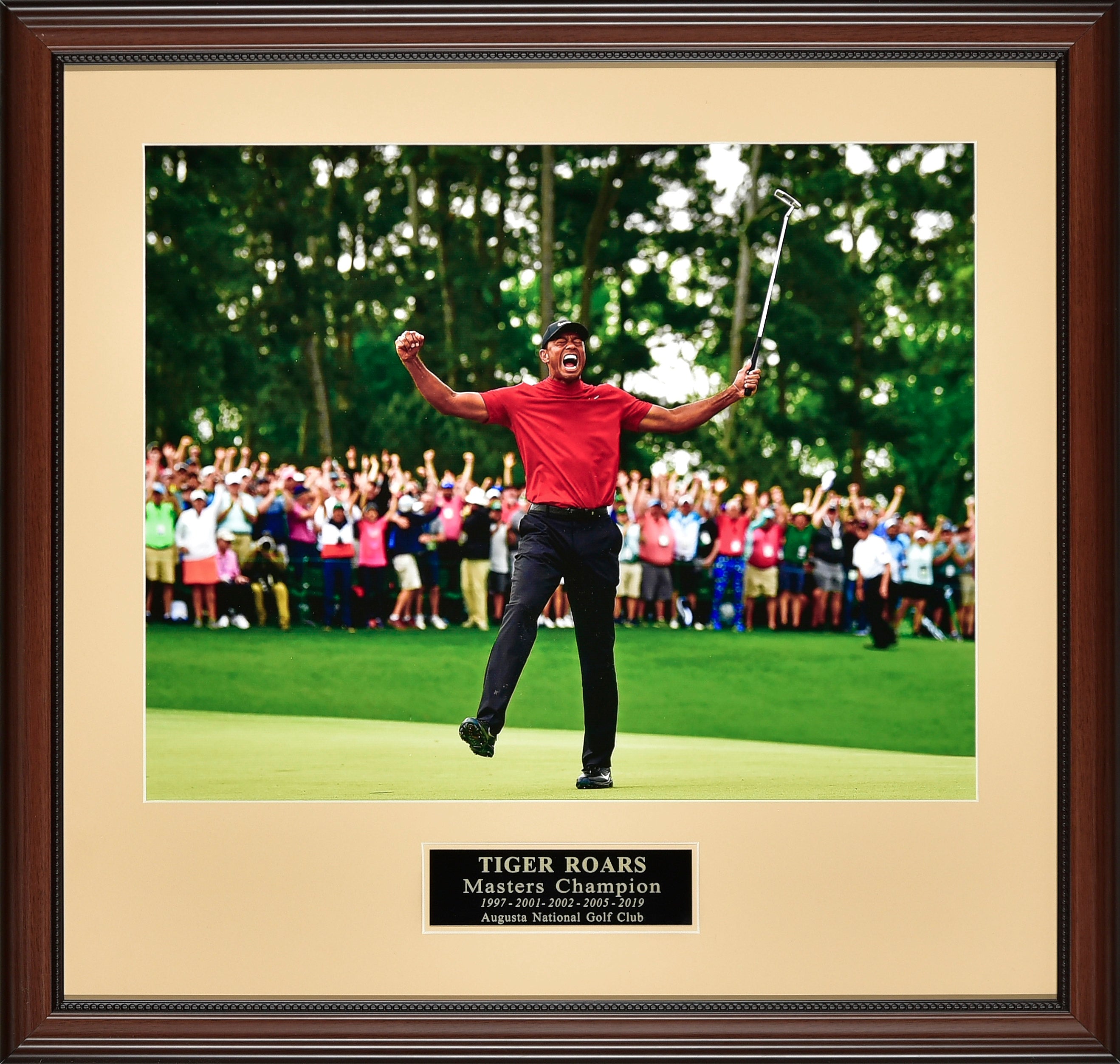 best tiger woods photos 0022