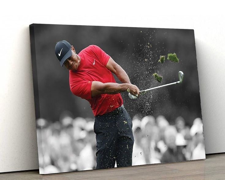 best tiger woods photos 0026