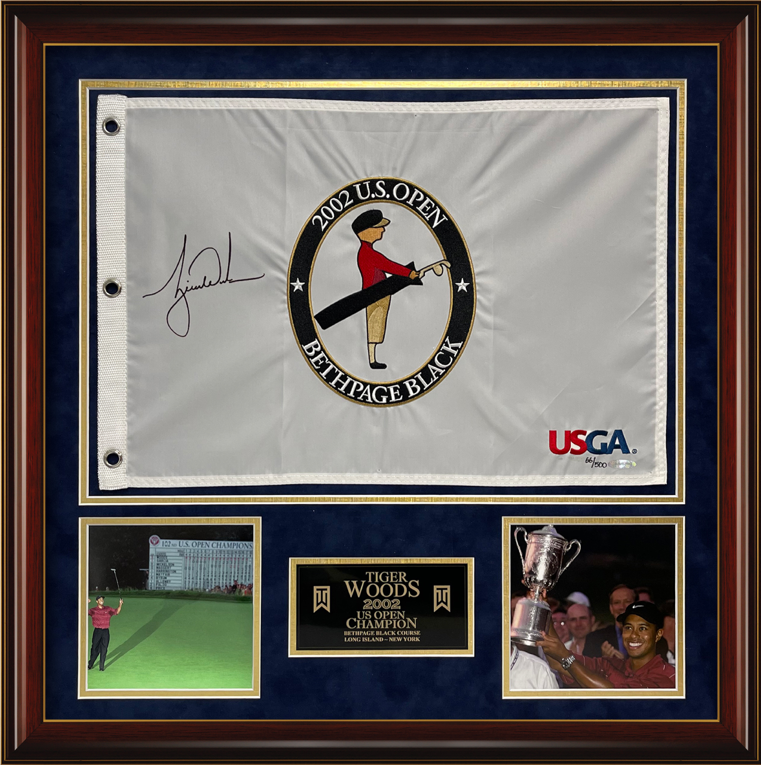 best tiger woods photos 0042
