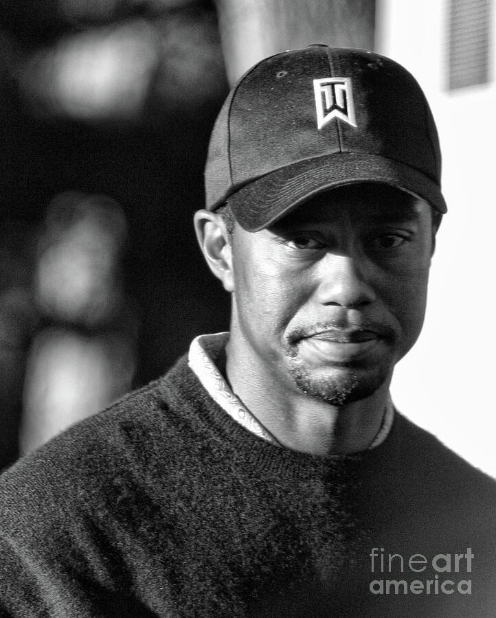 tiger woods portrait 0010